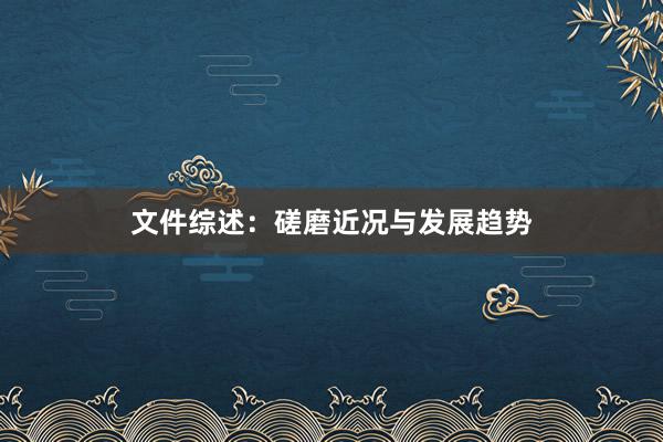 文件综述：磋磨近况与发展趋势